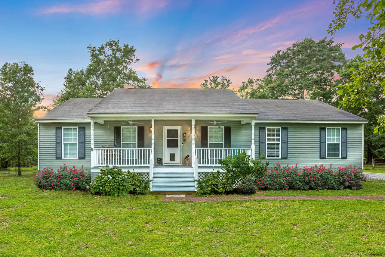 1614 Alligator Road - Photo 1