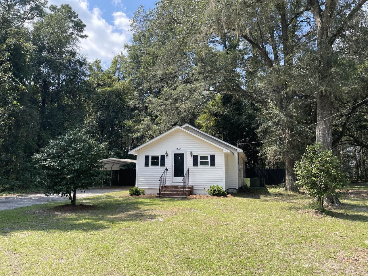 209 Mount Carmel Road - Photo 1