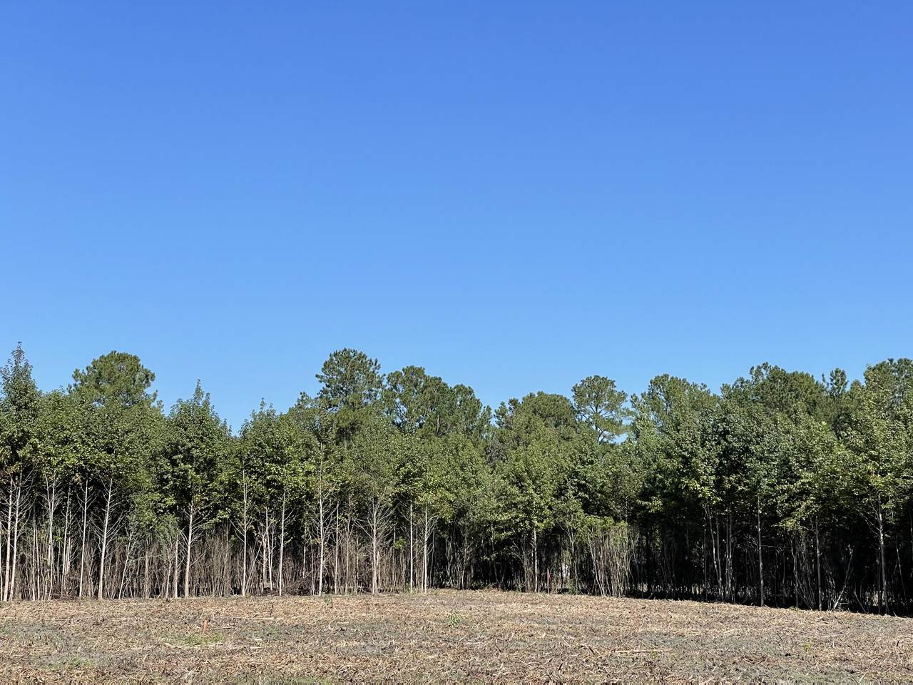 2 Sampson Road - Photo 1