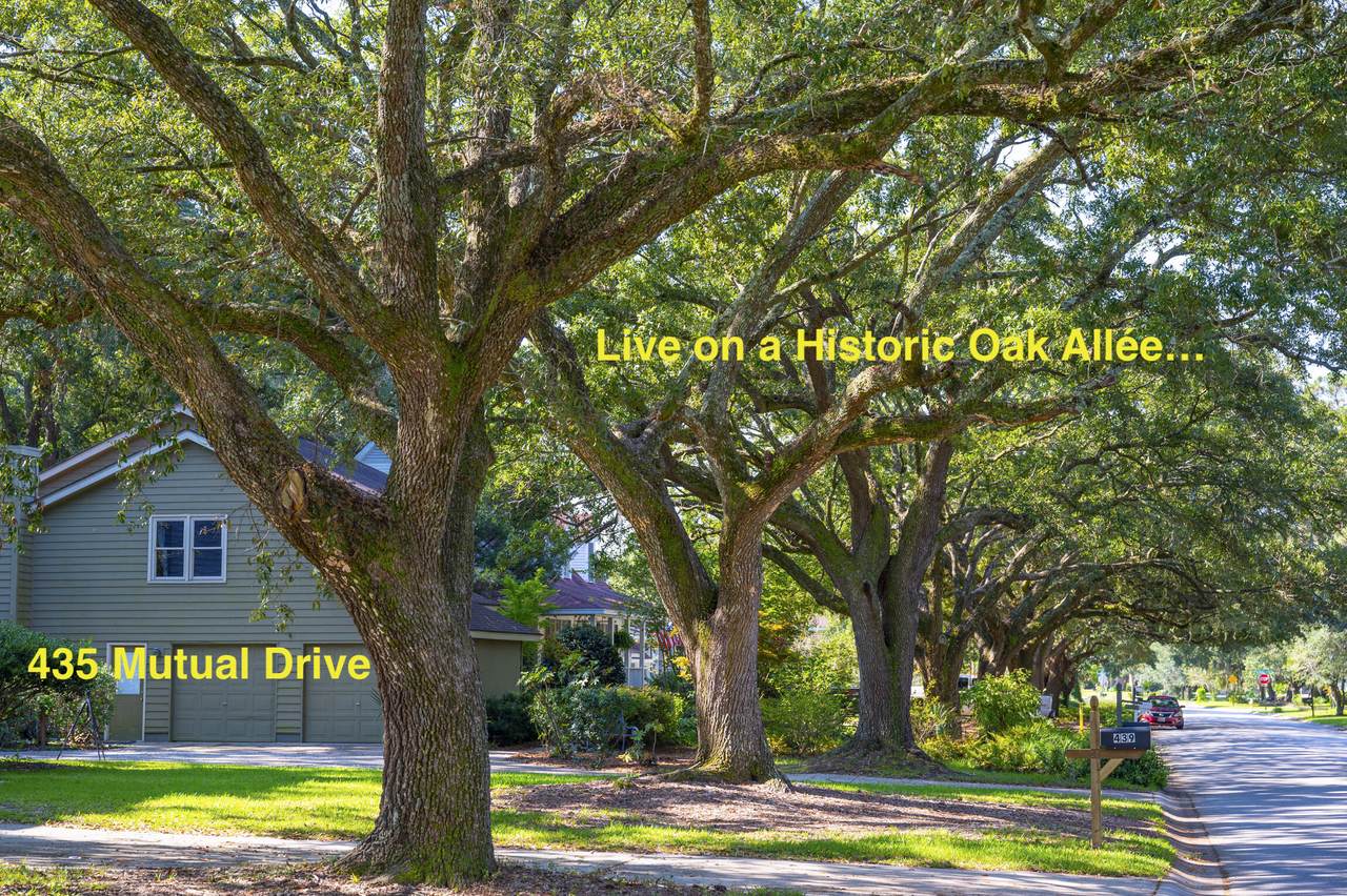 435 Mutual Drive - Photo 1