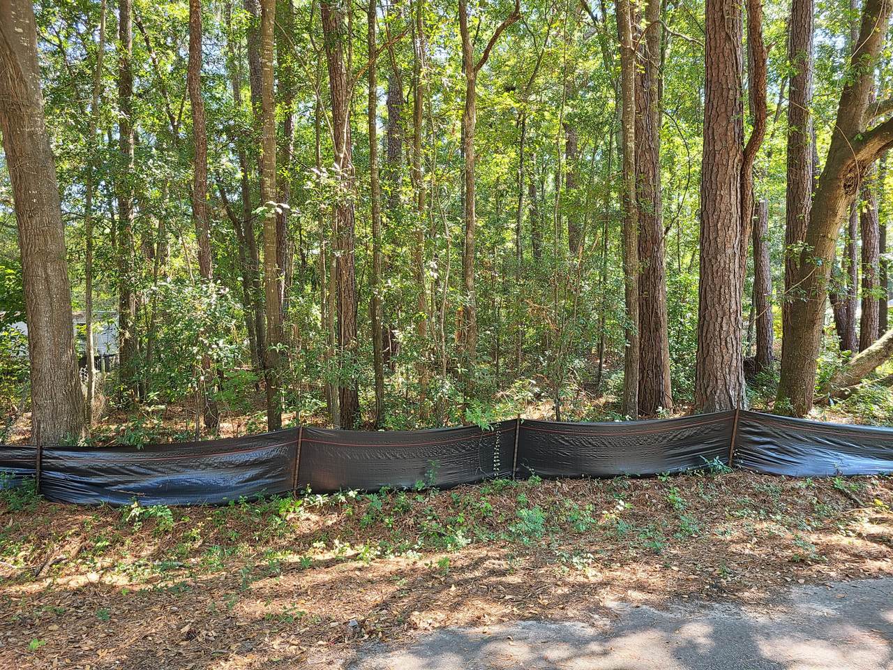 5938 Lola Drive - Photo 1
