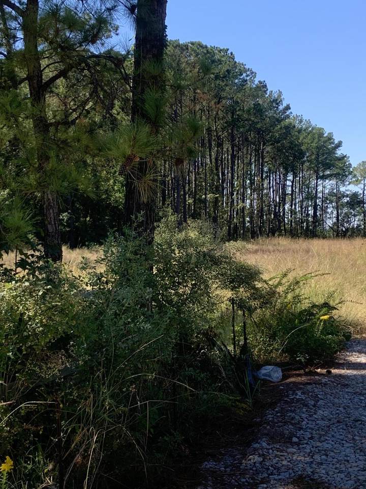 806 Hershal Circle - Photo 1
