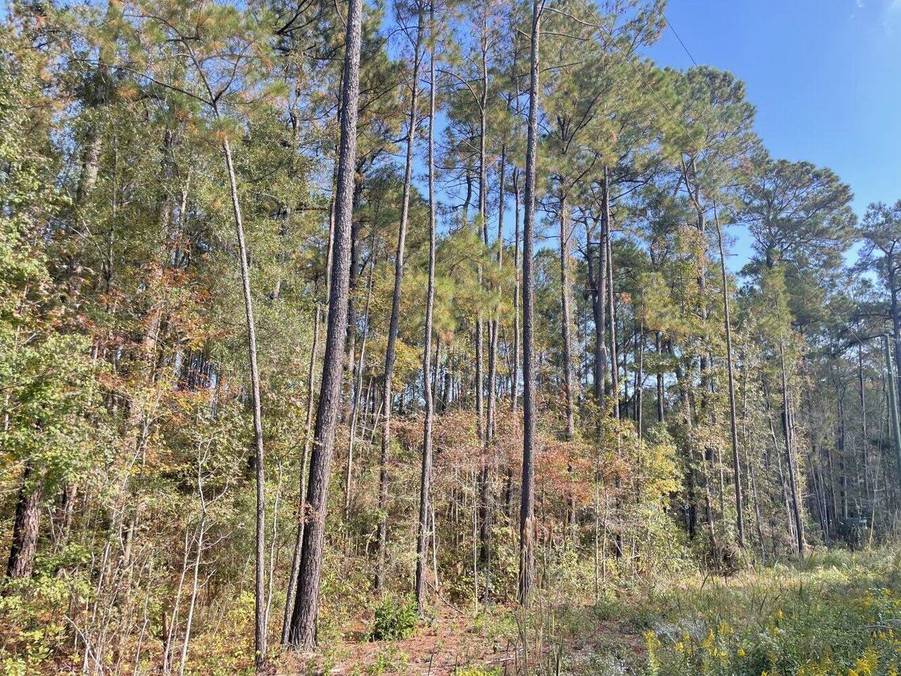 0 Myers Mayo Road - Photo 1