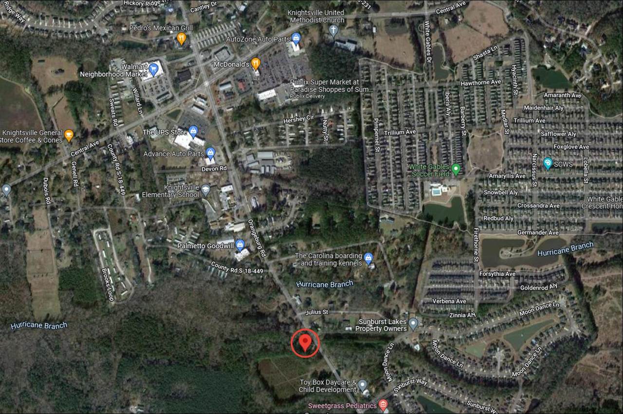 767 Orangeburg Road - Photo 1