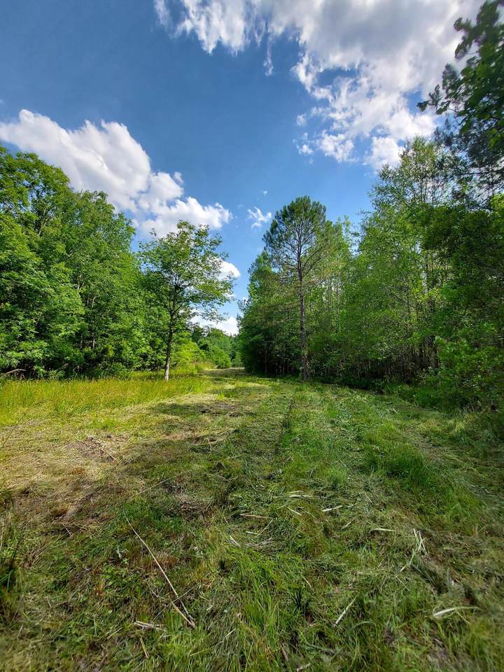2973 Rhode Drive - Photo 1