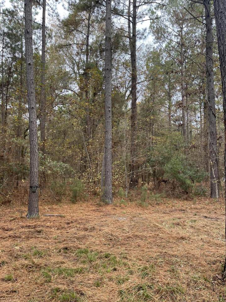 1731 Hwy 15 - Photo 1