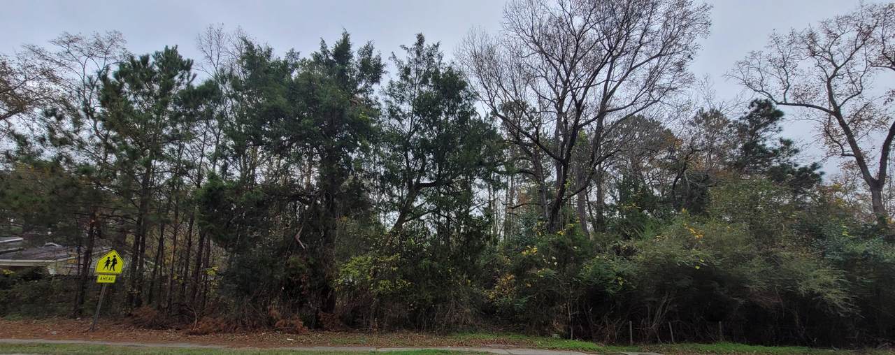 810 Orangeburg Road - Photo 1