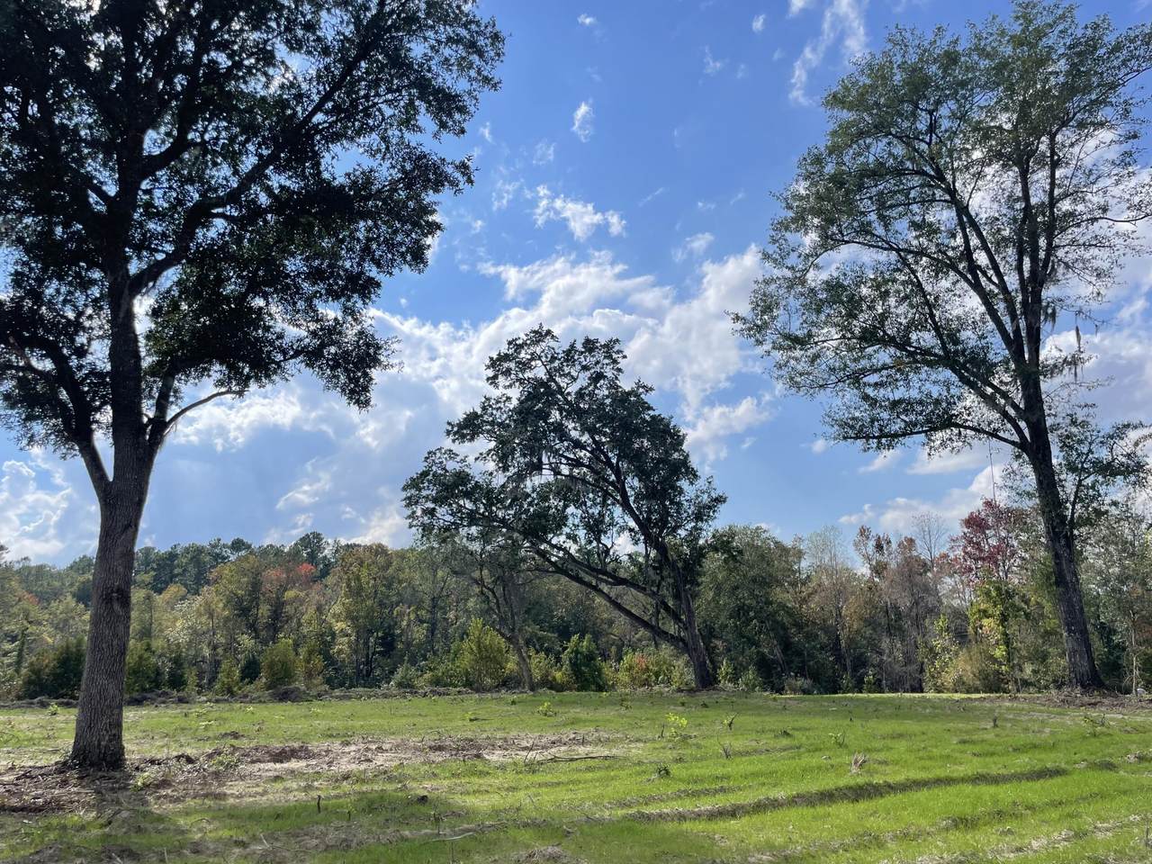 000 Hwy 27 - Photo 1