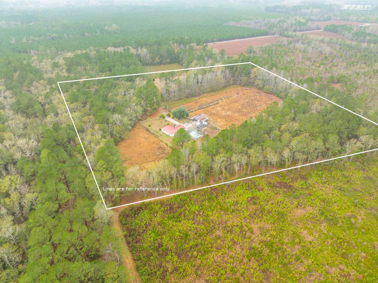 3430 Polk Road - Photo 1