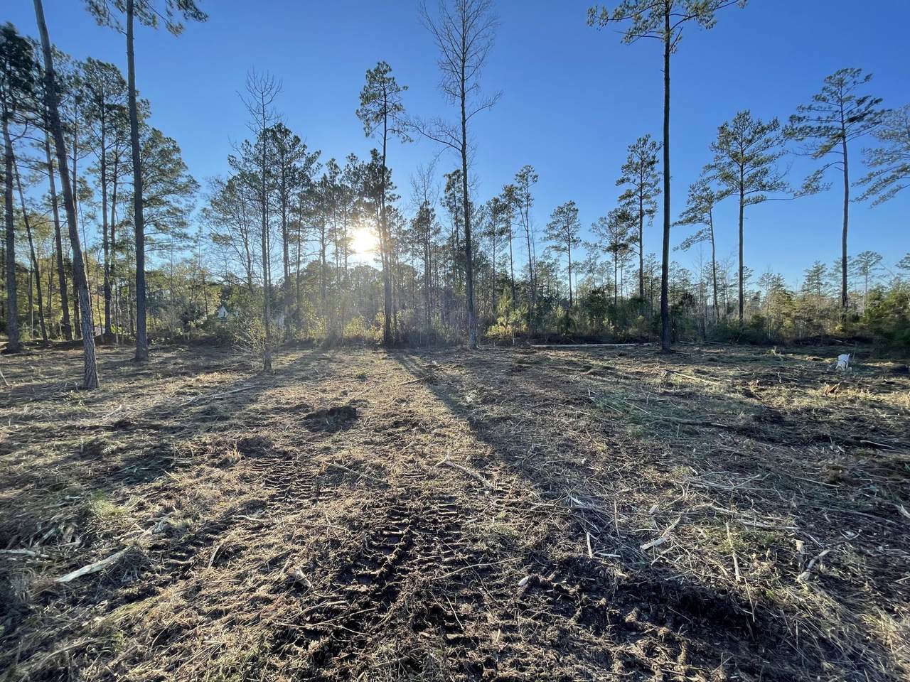 0 Old Dairy Road - Photo 1