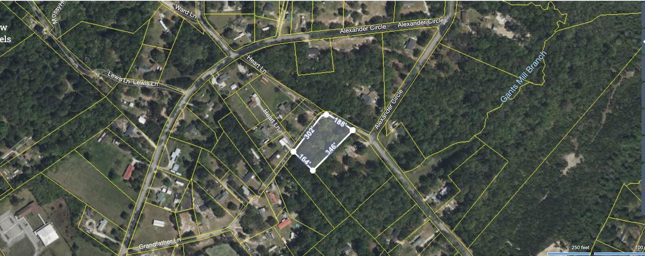 409 Peacock Lane - Photo 1
