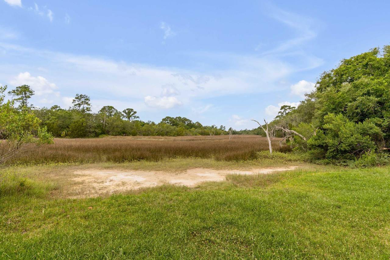 217 Marsh Oaks Circle - Photo 1