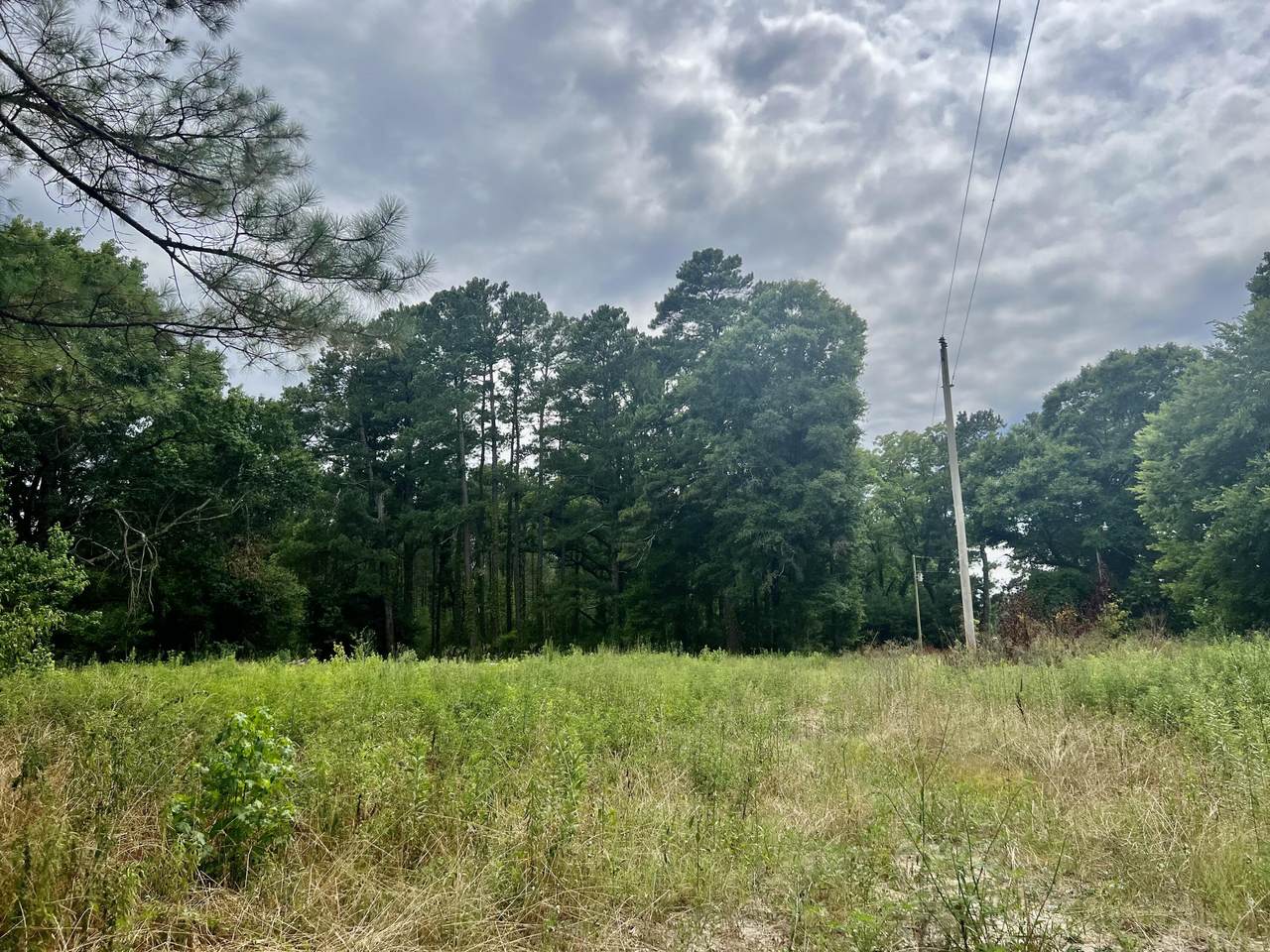 316 Ennis Road - Photo 1