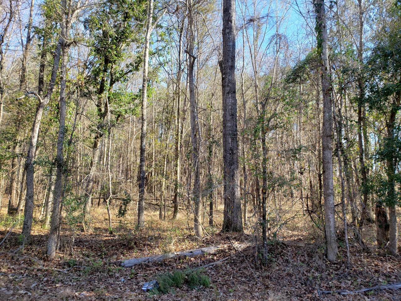 8582 Cottageville Highway - Photo 1