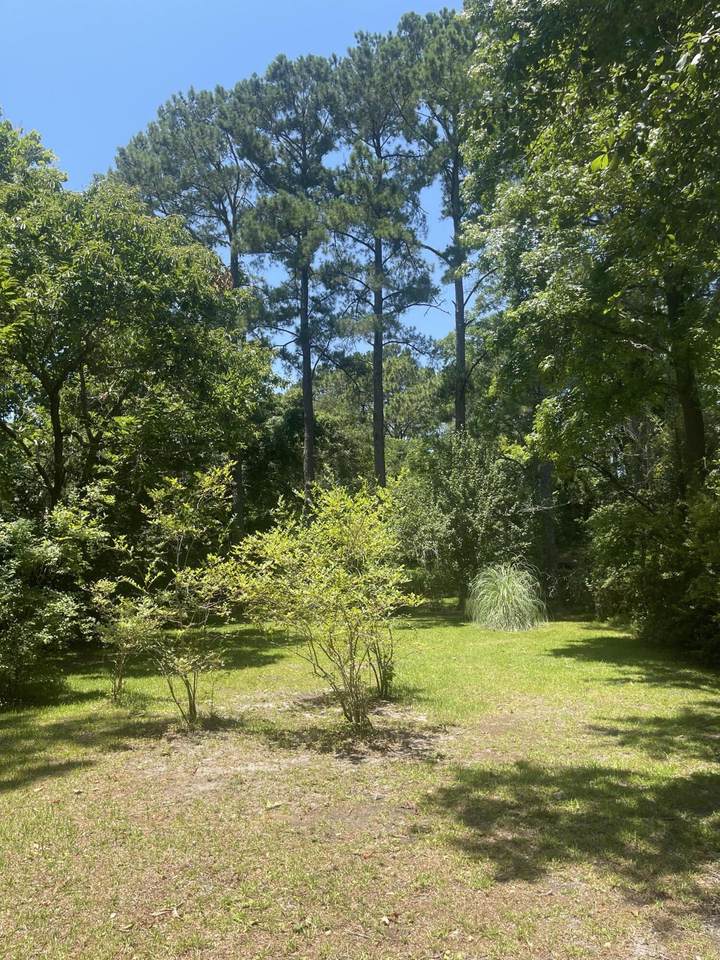 0 Hickory Street - Photo 1