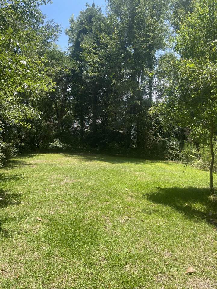 804 Hickory Street - Photo 1