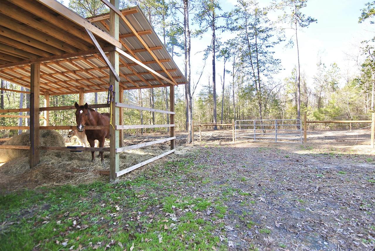 537 Mitchum Town Road - Photo 1