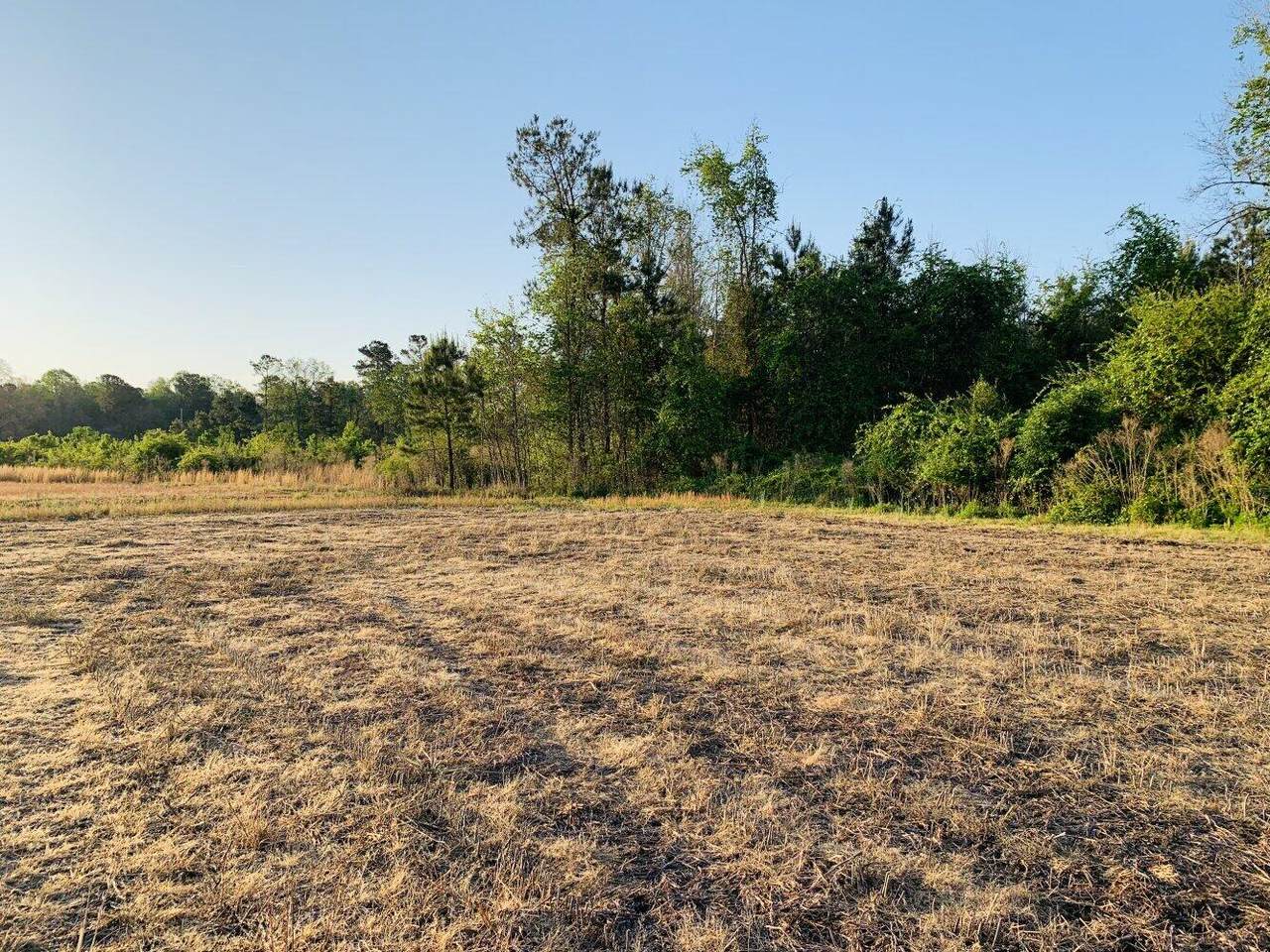 0 Benchwood Drive - Photo 1