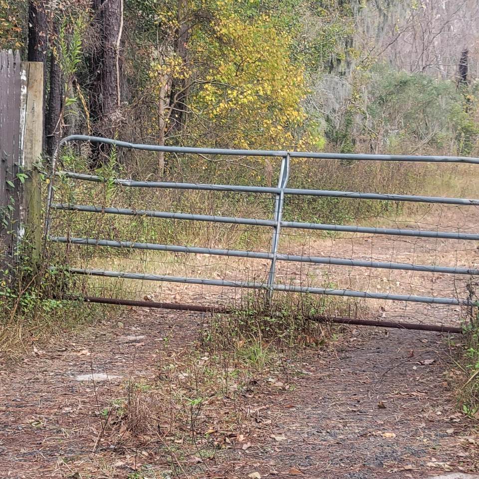 000 Murraywood Road, Johns Island, SC 29455 (23027231) The Cassina