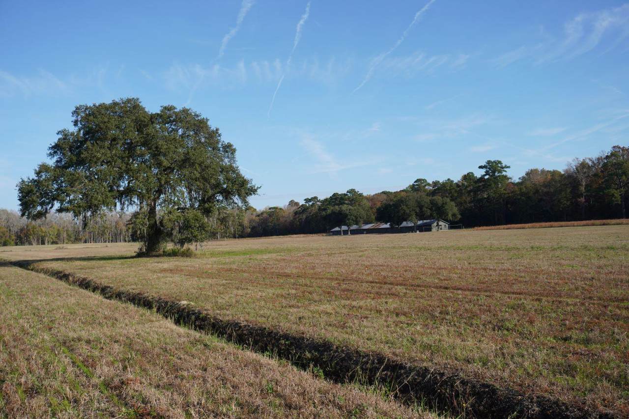 2066 Rackity Hall Road - Photo 1