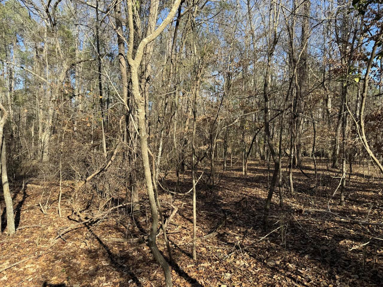 339 River Ridge Drive - Photo 1