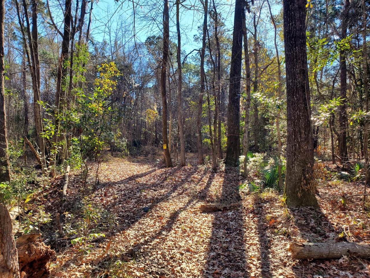 https://bt-photos.global.ssl.fastly.net/charleston/1280_boomver_1_24002578-2.jpg