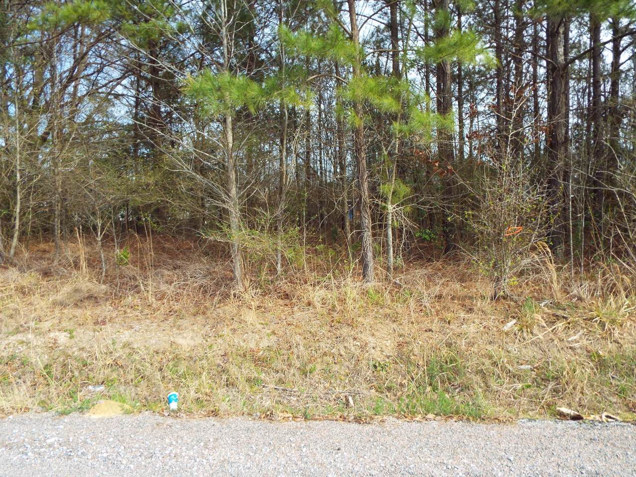 https://bt-photos.global.ssl.fastly.net/charleston/1280_boomver_1_24005159-2.jpg