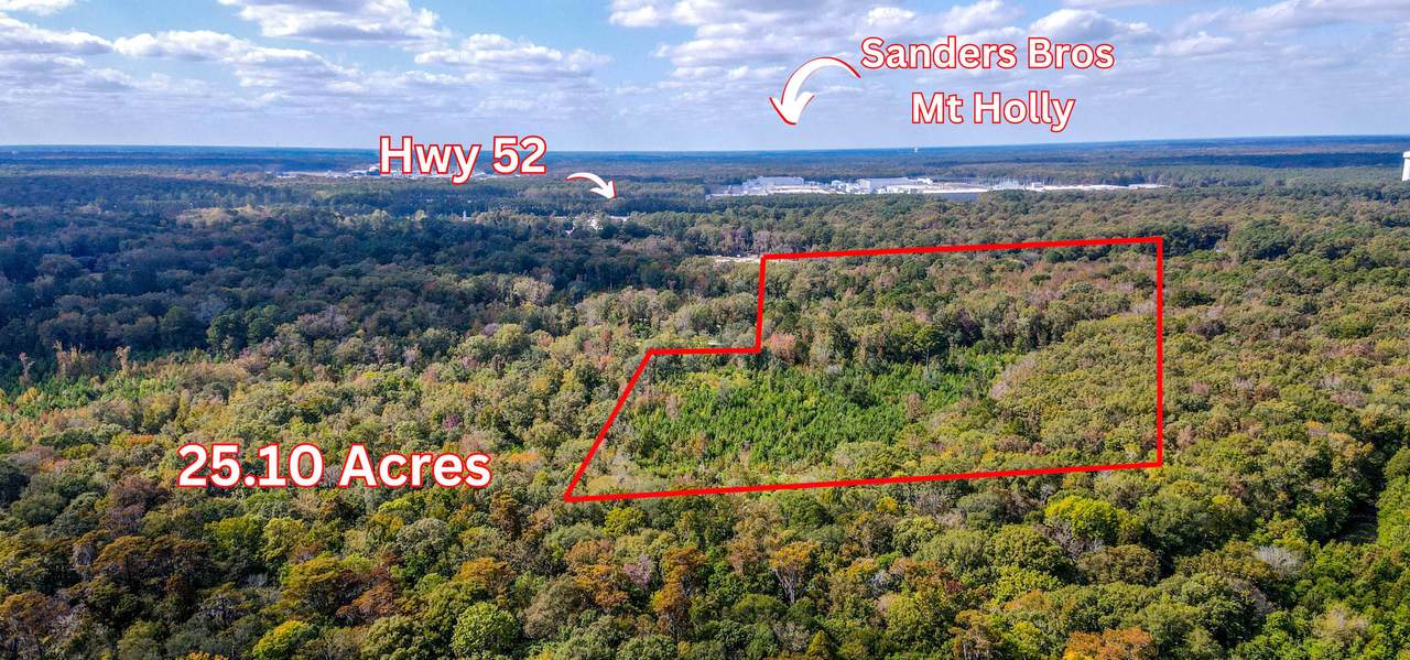 155 Goldenrod Lane - Photo 1
