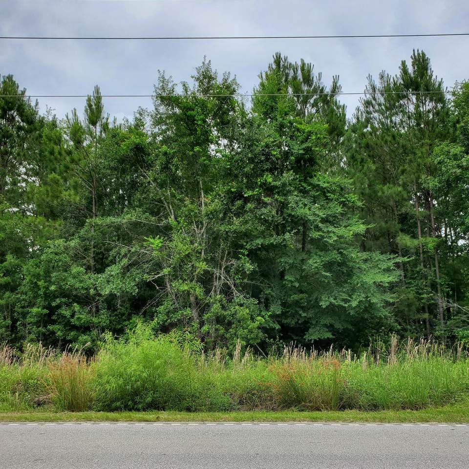 0 Black Tom Road, Moncks Corner, SC 29461 (24012659) The Cassina Group