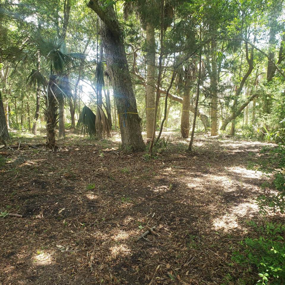 https://bt-photos.global.ssl.fastly.net/charleston/1280_boomver_1_24016557-2.jpg