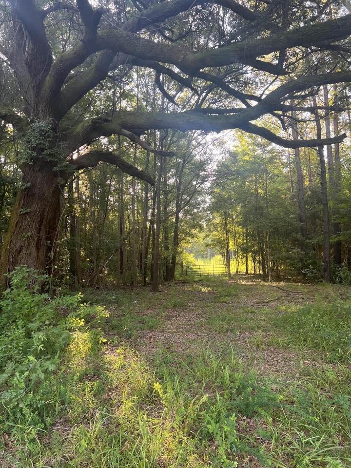 5054 Doctor Taylor Road - Photo 1