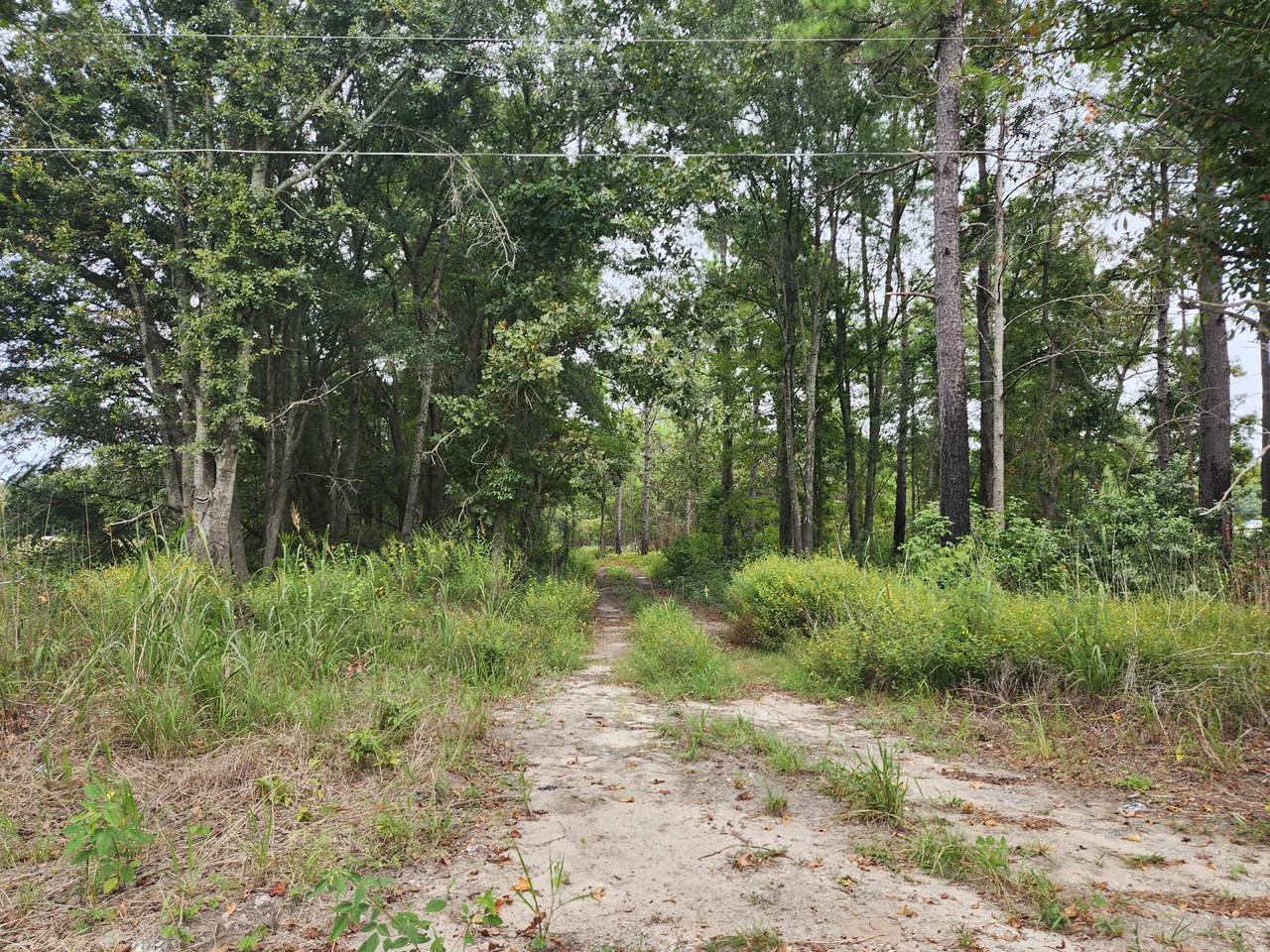 0 Spring Dell  Way - Photo 1