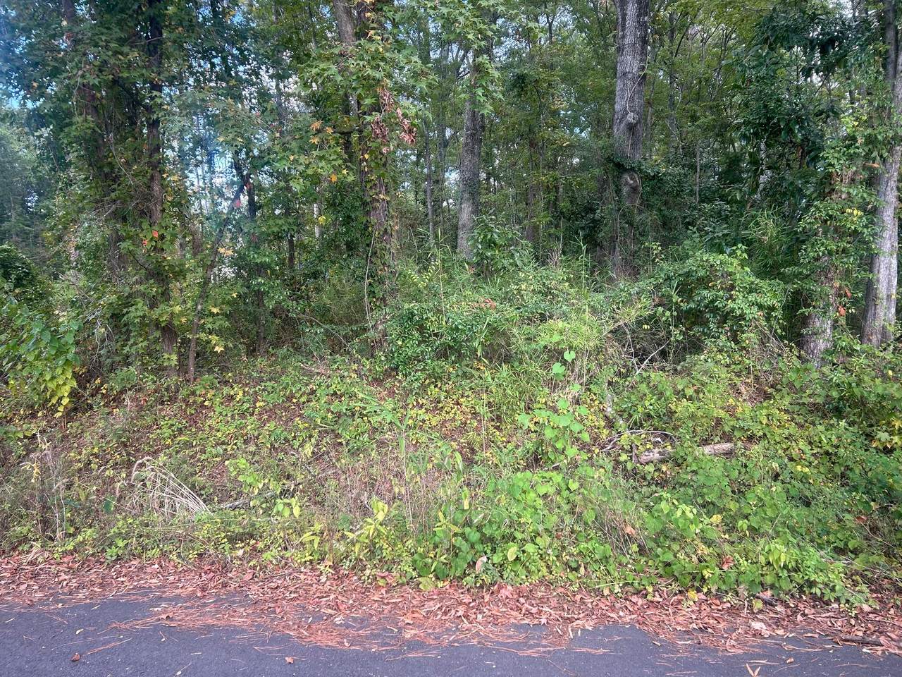 https://bt-photos.global.ssl.fastly.net/charleston/1280_boomver_1_24024750-2.jpg