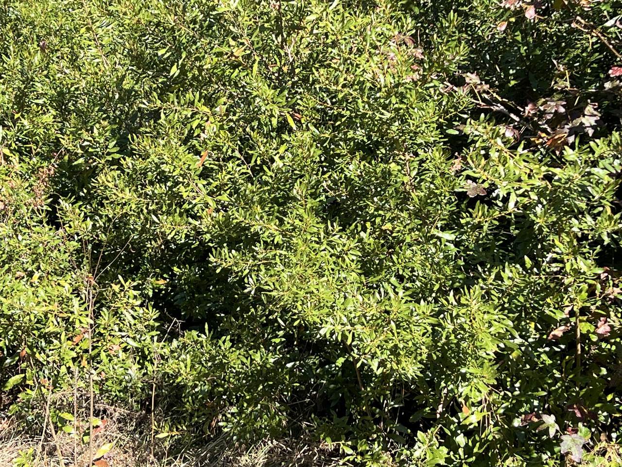 0 Ardwick Road - Photo 1