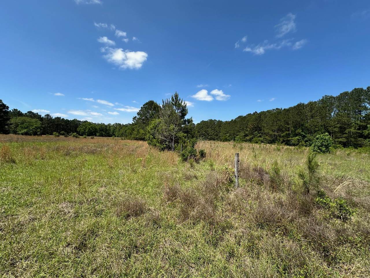 8441 Willtown Road - Photo 1