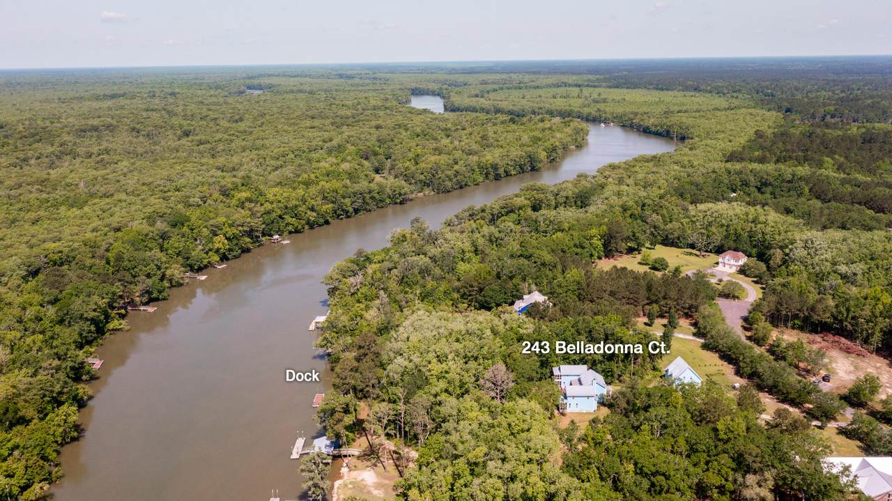 243 Belladonna Court - Photo 1