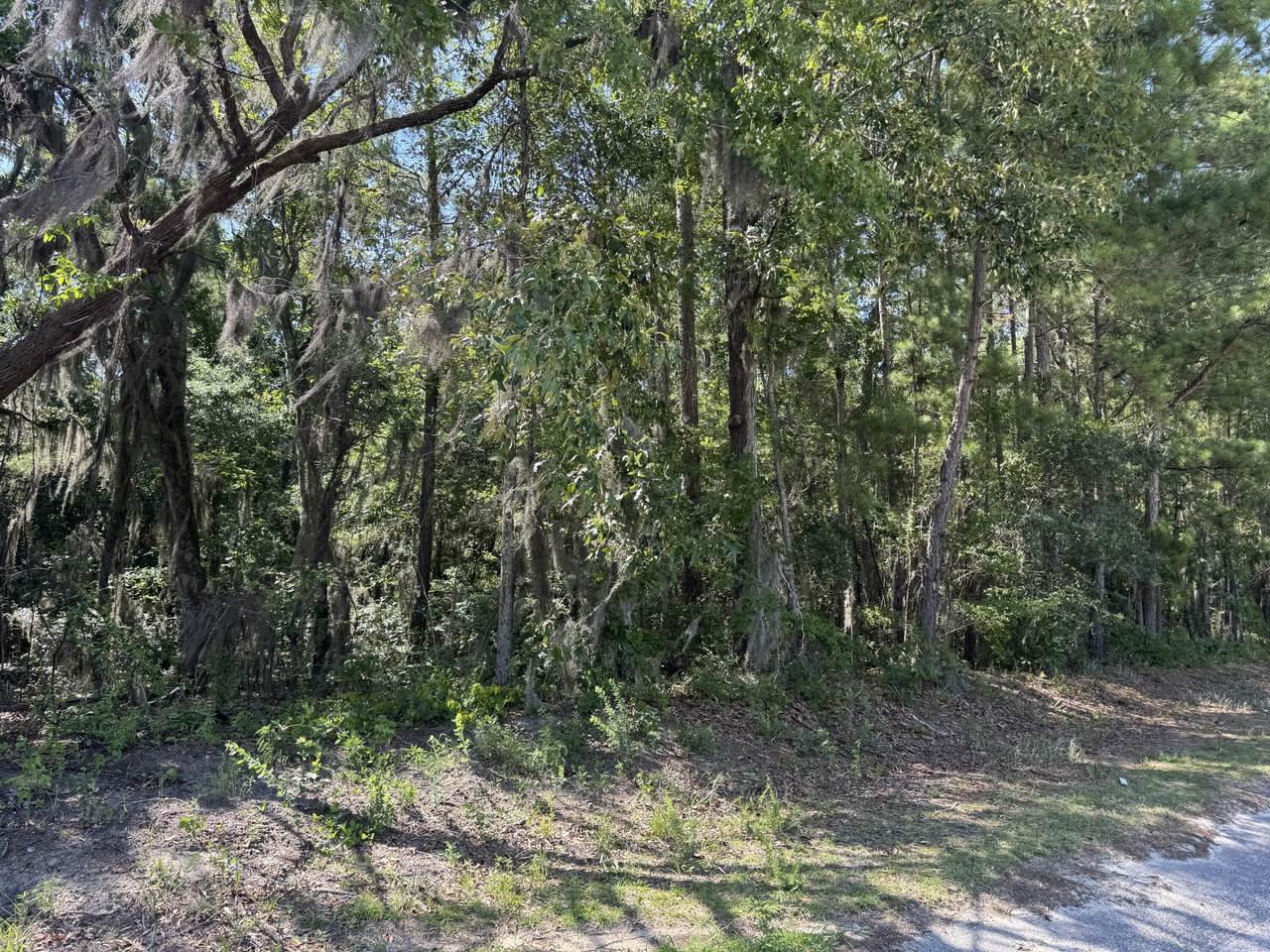 Tract 2 Tabernacle Road - Photo 1