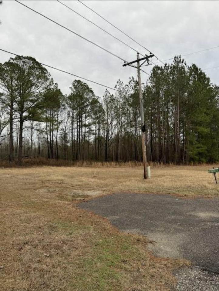 325 Rock Hill Road - Photo 1