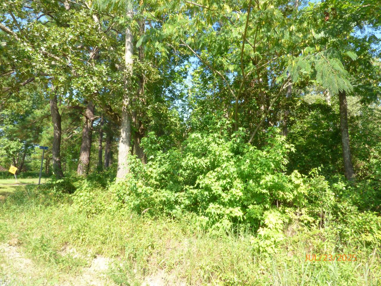 0 Big Woods Road - Photo 1