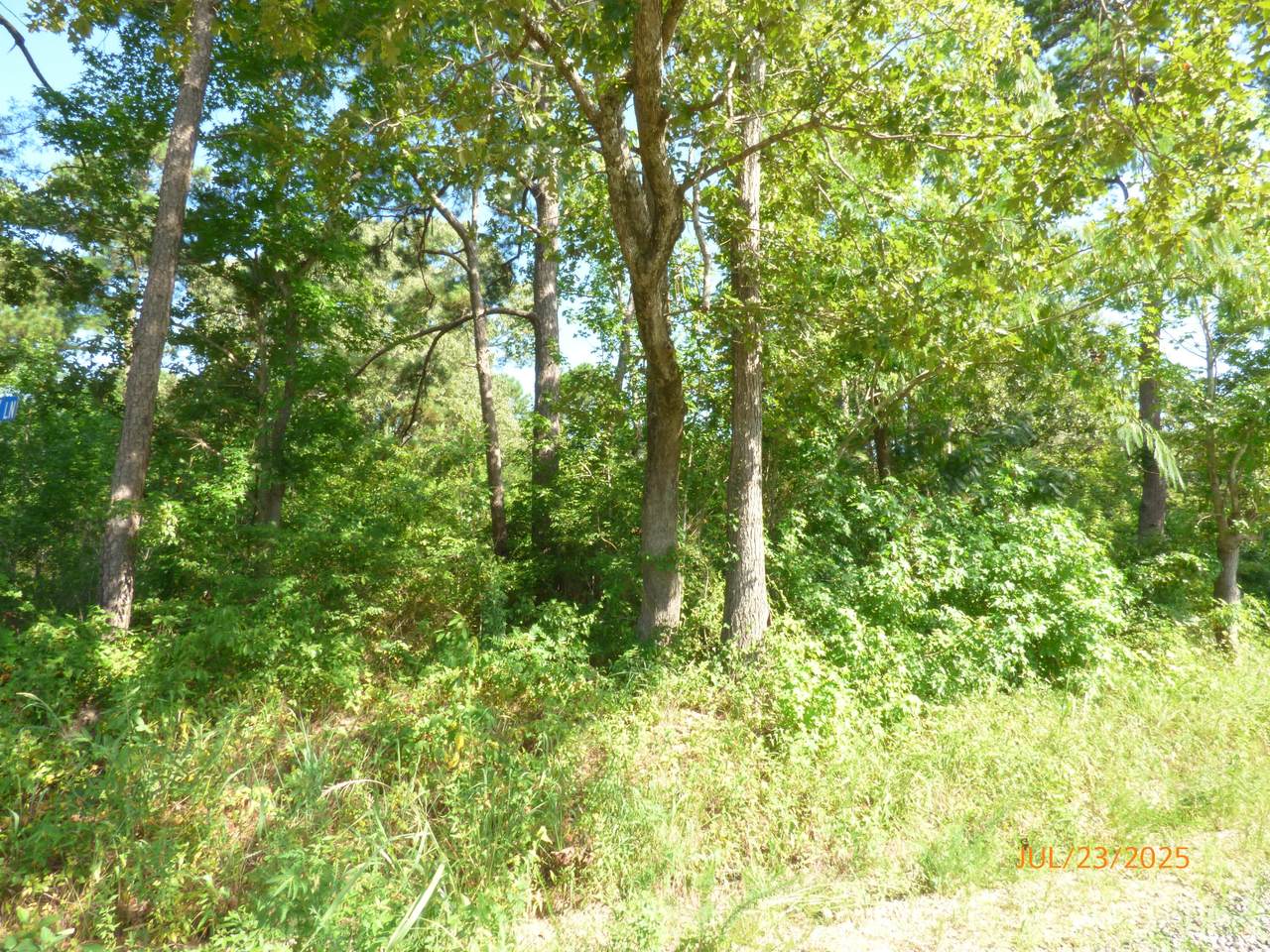 https://bt-photos.global.ssl.fastly.net/charleston/1280_boomver_1_25020238-2.jpg