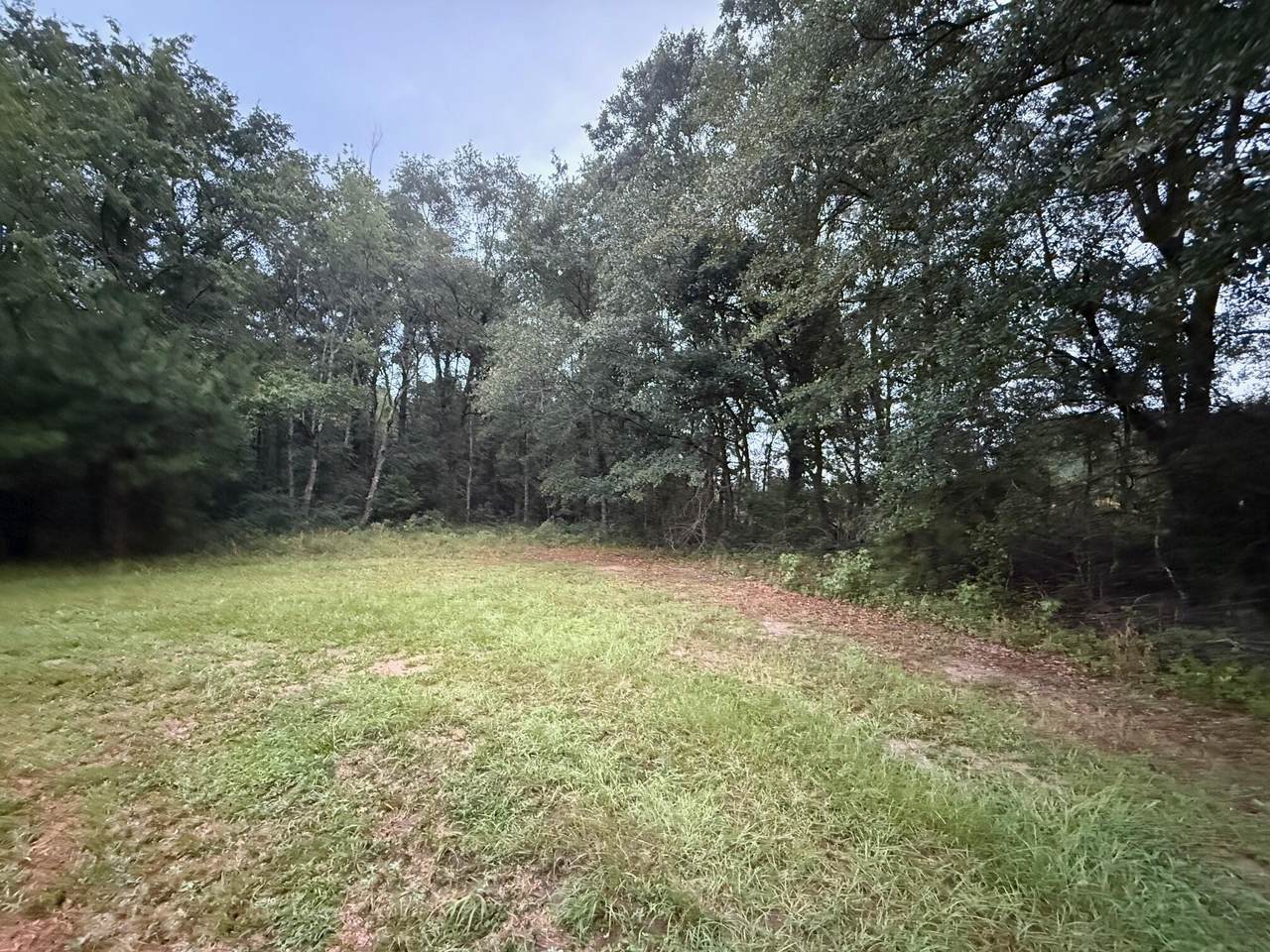 https://bt-photos.global.ssl.fastly.net/charleston/1280_boomver_1_25021365-2.jpg