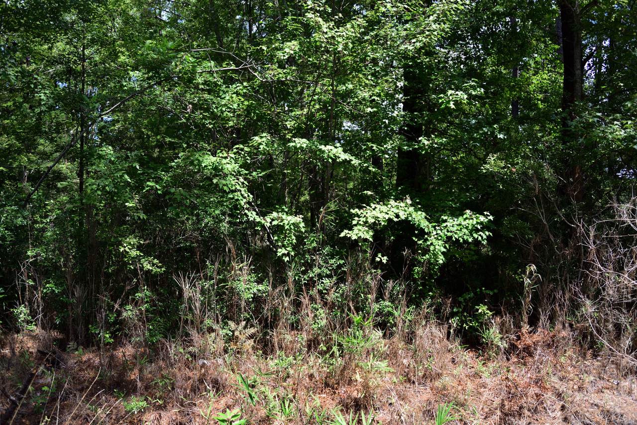 https://bt-photos.global.ssl.fastly.net/charleston/1280_boomver_1_25023693-2.jpg