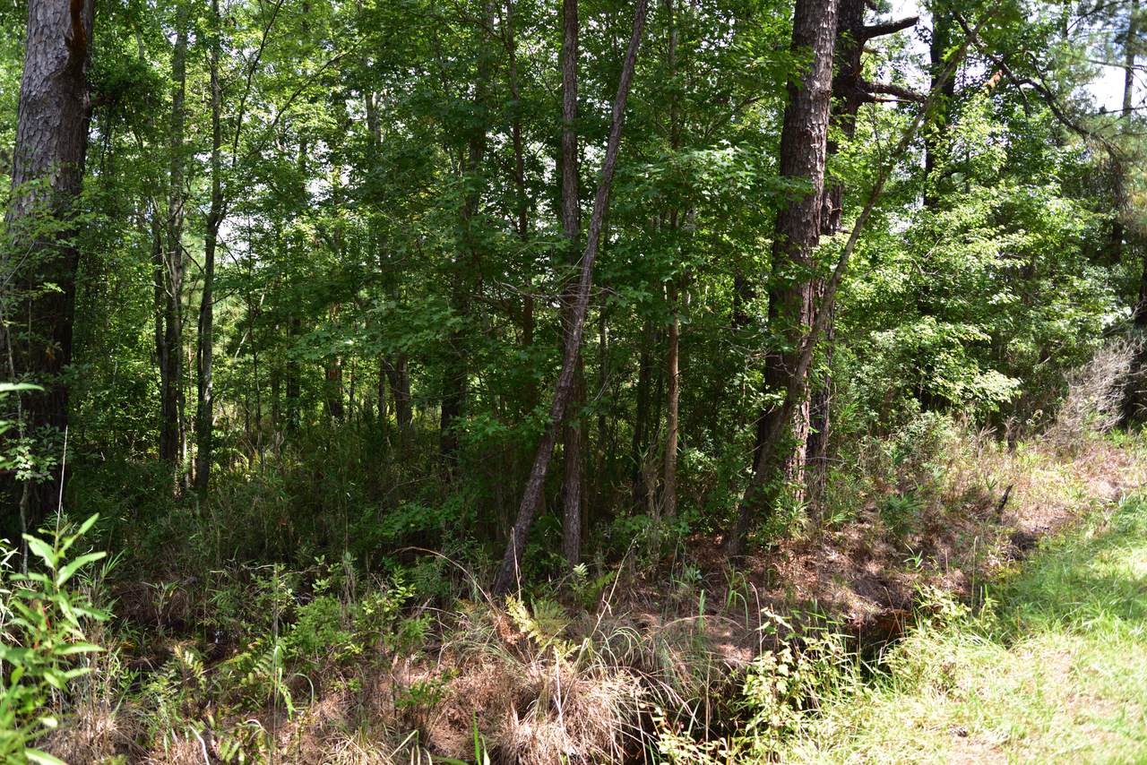 https://bt-photos.global.ssl.fastly.net/charleston/1280_boomver_1_25023693-2.jpg