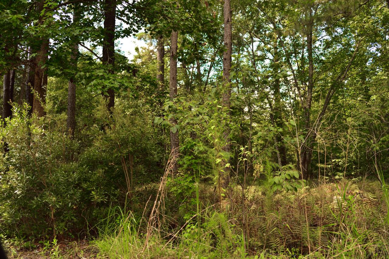 https://bt-photos.global.ssl.fastly.net/charleston/1280_boomver_1_25023693-2.jpg