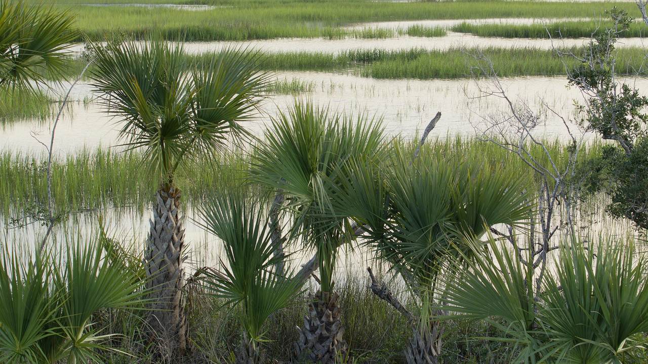 https://bt-photos.global.ssl.fastly.net/charleston/1280_boomver_1_25024146-2.jpg
