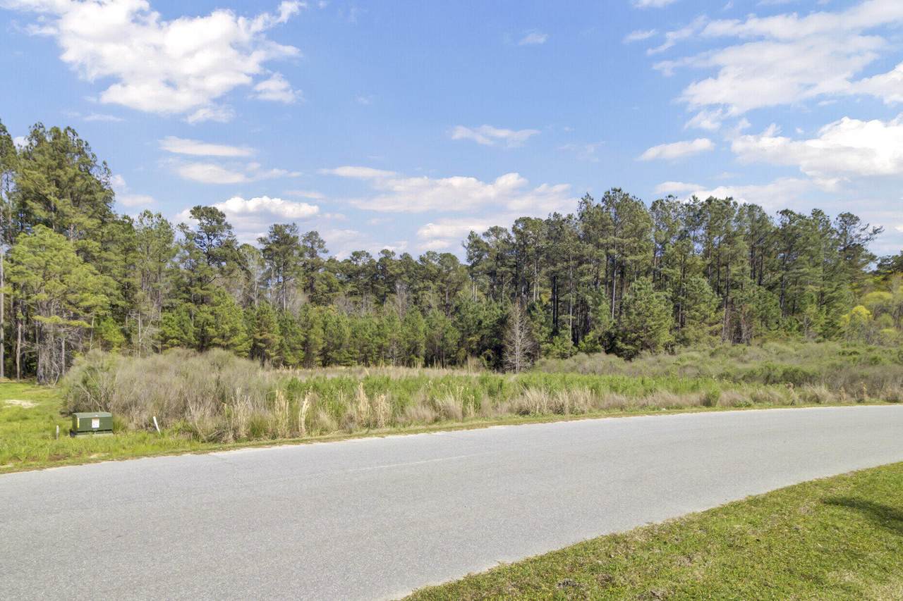 1319 Wood Sorrel Drive - Photo 1