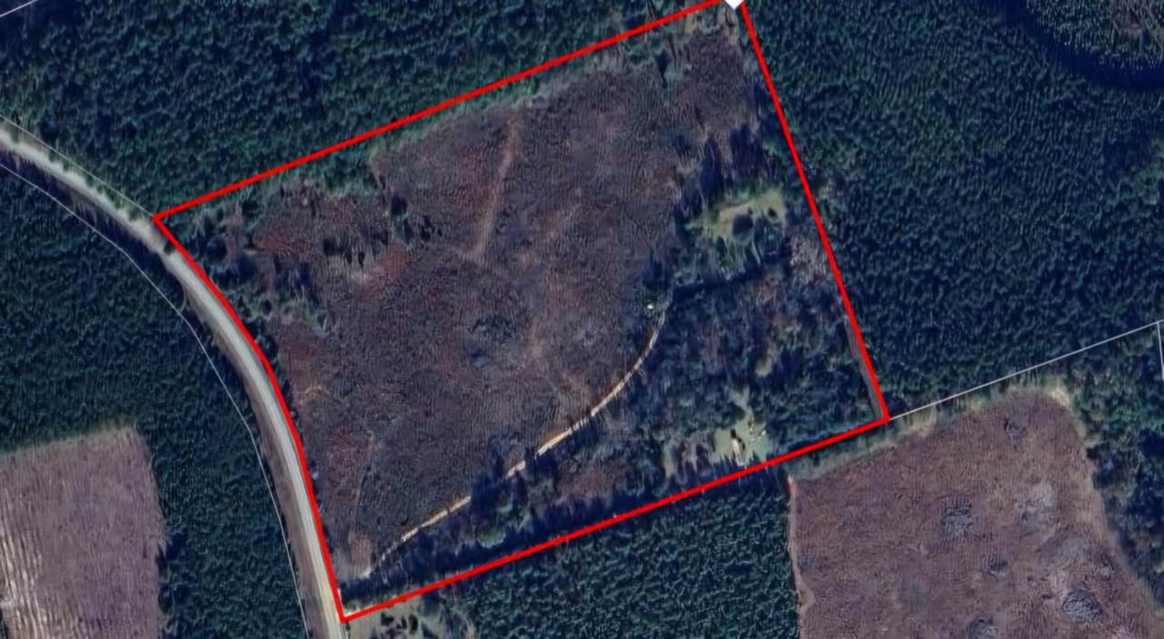 551 Gravel Hill Road - Photo 1