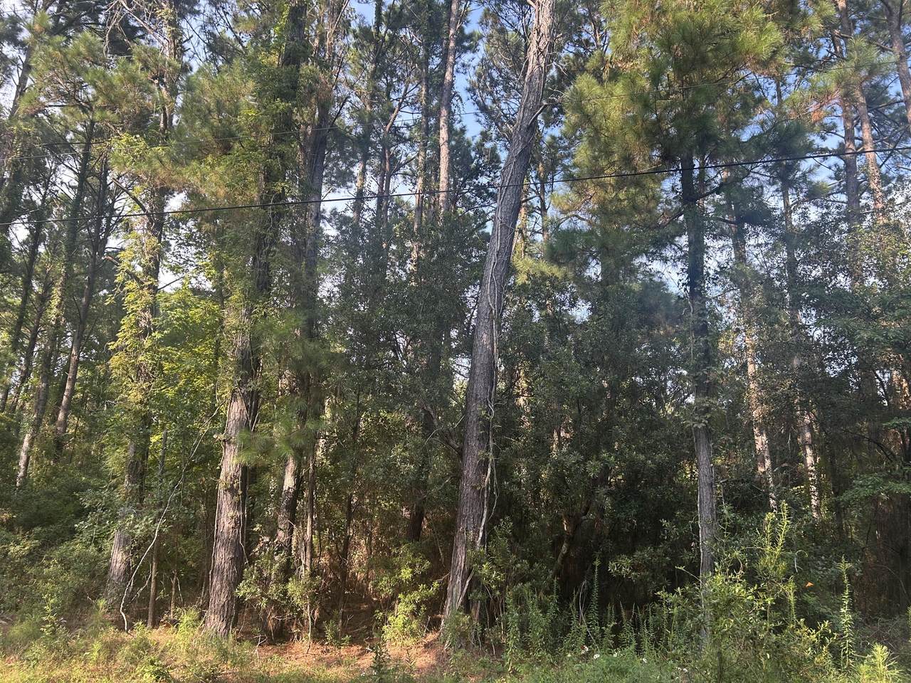 https://bt-photos.global.ssl.fastly.net/charleston/1280_boomver_1_25025930-2.jpg