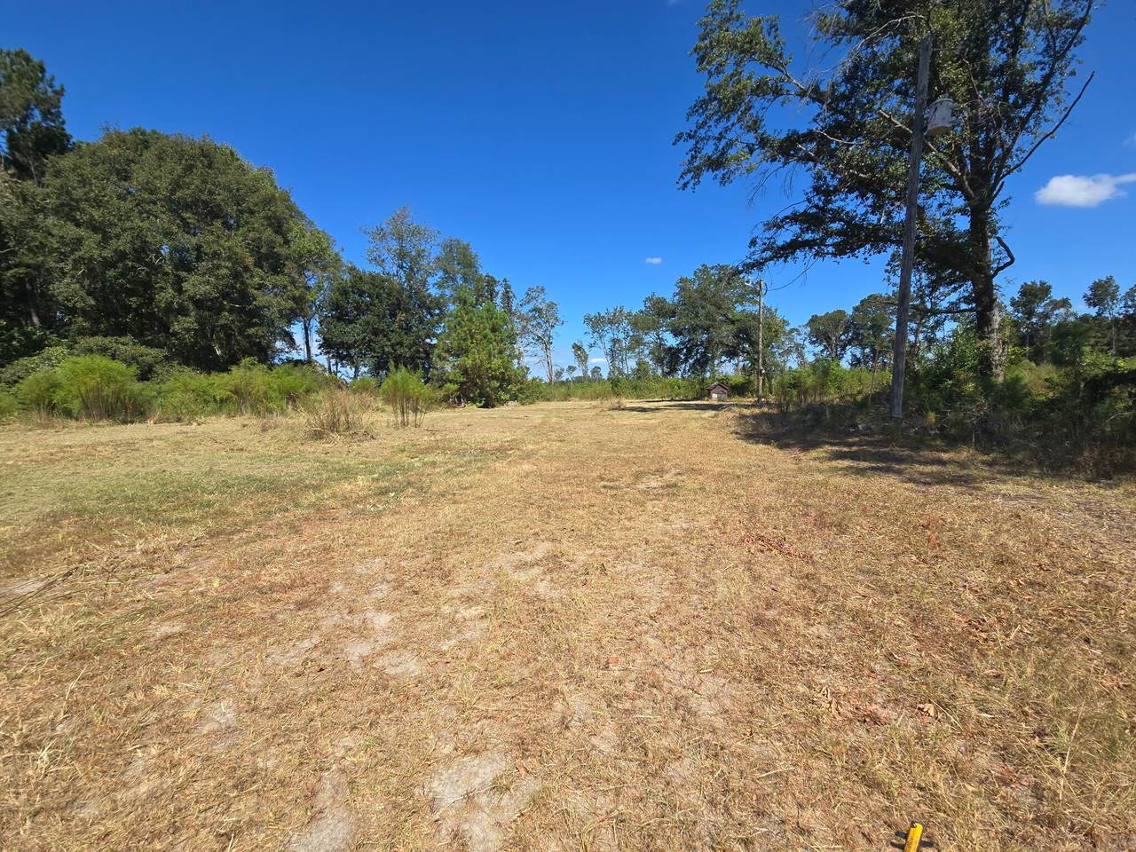 6315 Hwy 301 - Photo 1