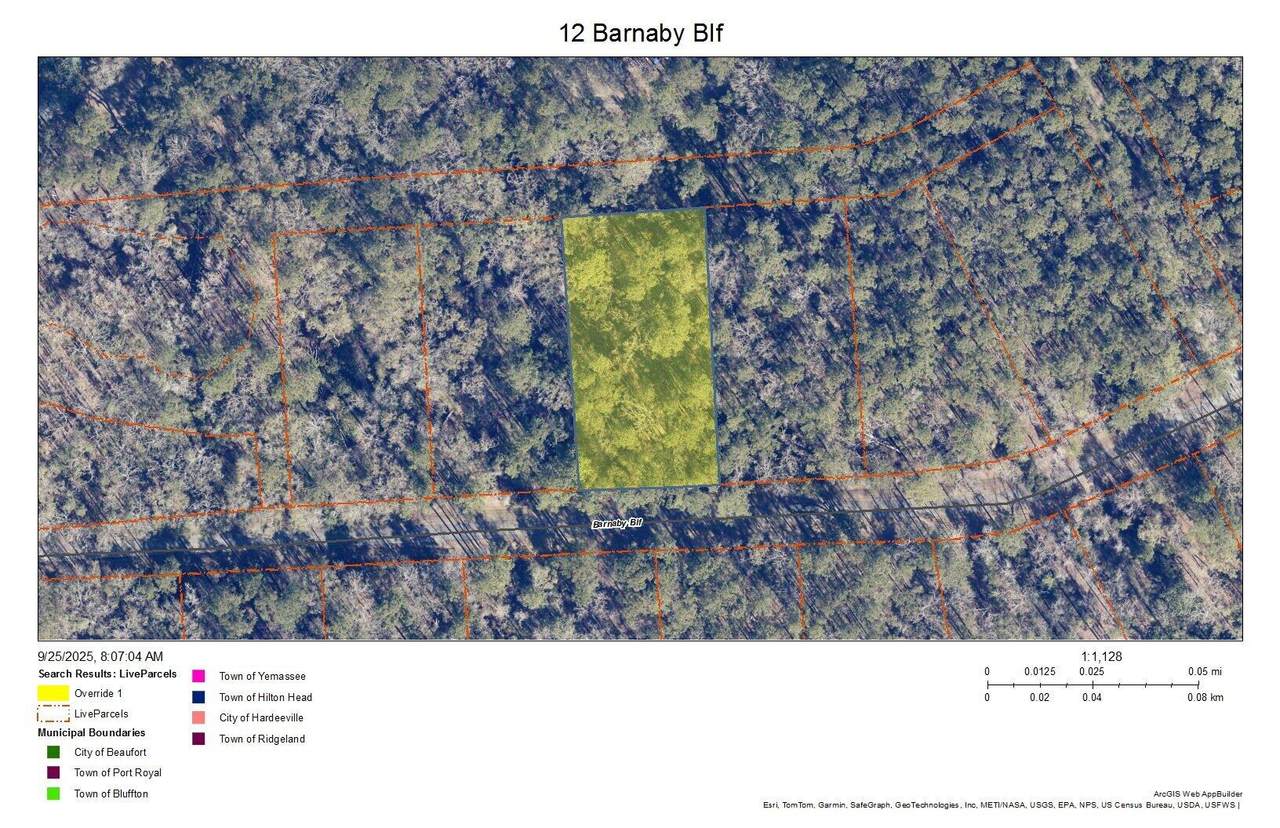 12 Barnaby Blf - Photo 1